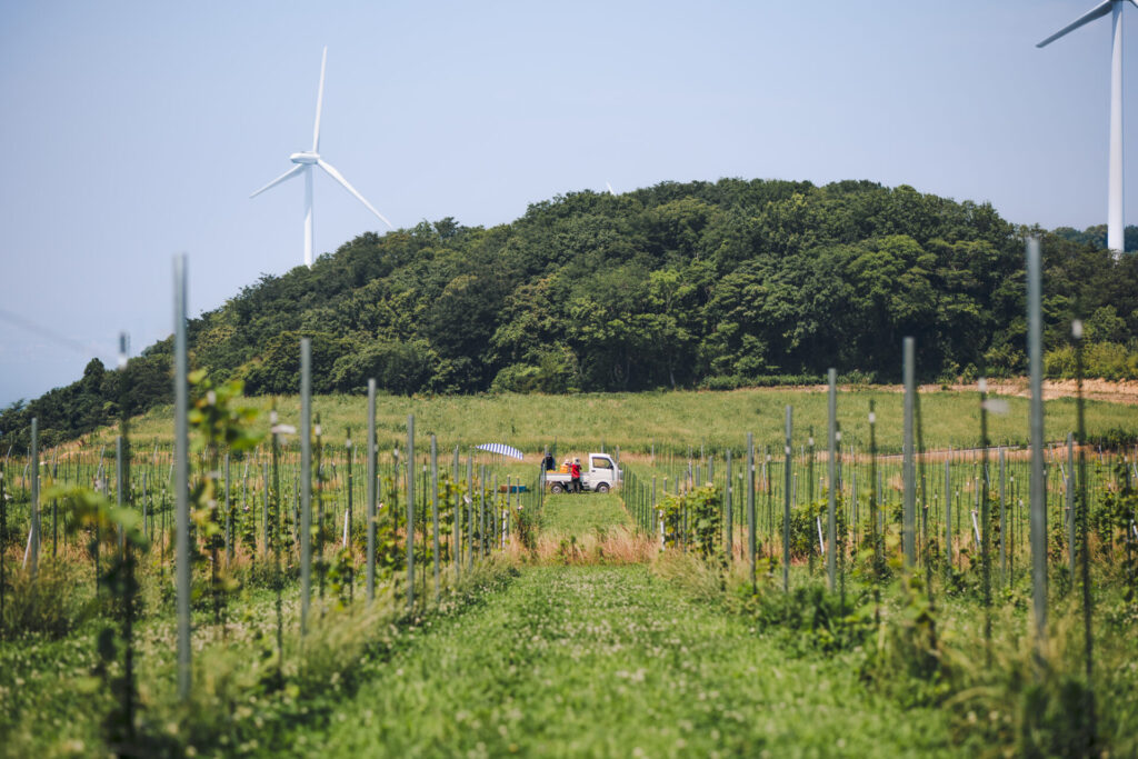 淡路島の自然とともに育む循環型ワイナリー「陽・燦燦 ワイナリー」